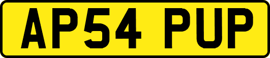 AP54PUP