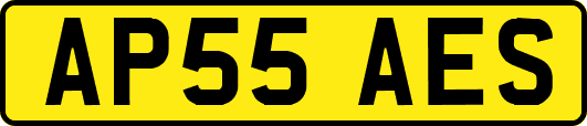 AP55AES