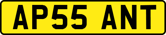 AP55ANT