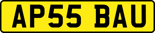 AP55BAU