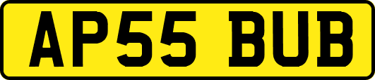 AP55BUB