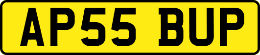 AP55BUP