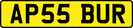 AP55BUR