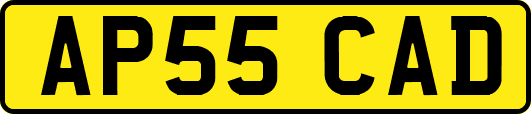 AP55CAD
