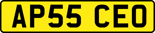 AP55CEO