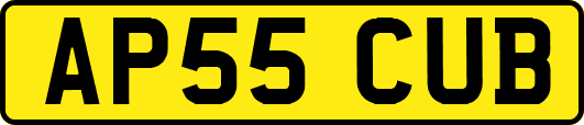 AP55CUB