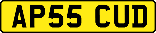 AP55CUD