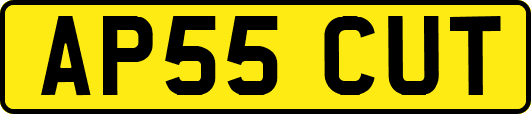 AP55CUT