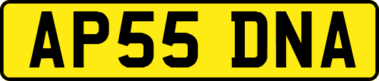 AP55DNA