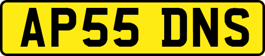 AP55DNS