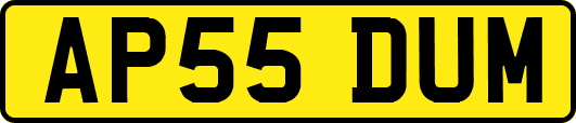 AP55DUM