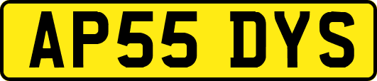AP55DYS