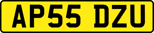 AP55DZU