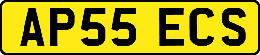 AP55ECS