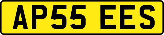 AP55EES