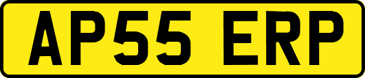 AP55ERP