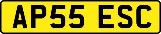 AP55ESC