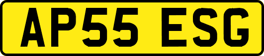 AP55ESG