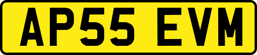 AP55EVM