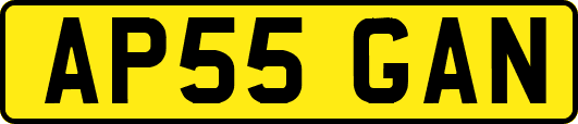 AP55GAN
