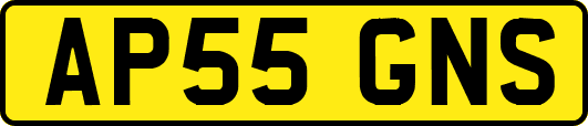 AP55GNS