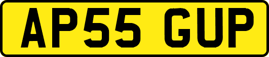 AP55GUP