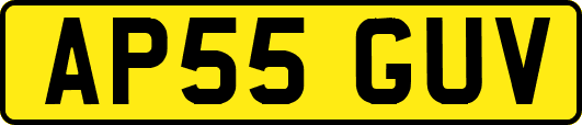 AP55GUV