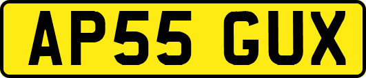 AP55GUX