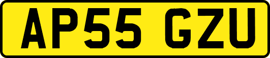 AP55GZU