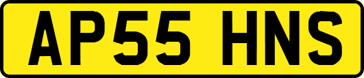 AP55HNS