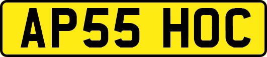 AP55HOC