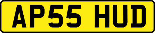 AP55HUD