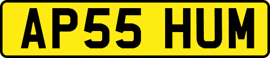 AP55HUM