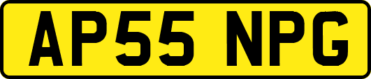 AP55NPG