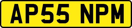 AP55NPM