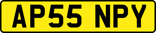 AP55NPY