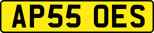 AP55OES