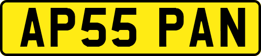 AP55PAN