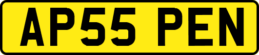 AP55PEN