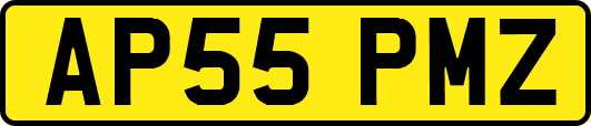 AP55PMZ