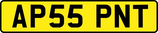 AP55PNT