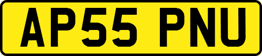 AP55PNU