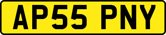 AP55PNY