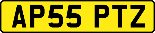 AP55PTZ