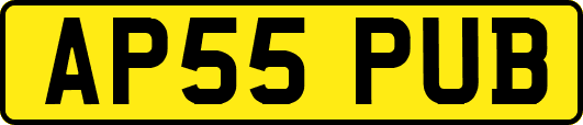 AP55PUB