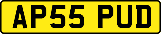 AP55PUD