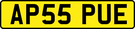 AP55PUE