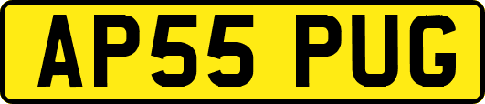 AP55PUG