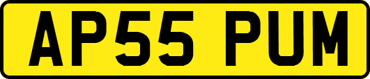 AP55PUM