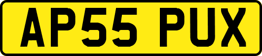 AP55PUX